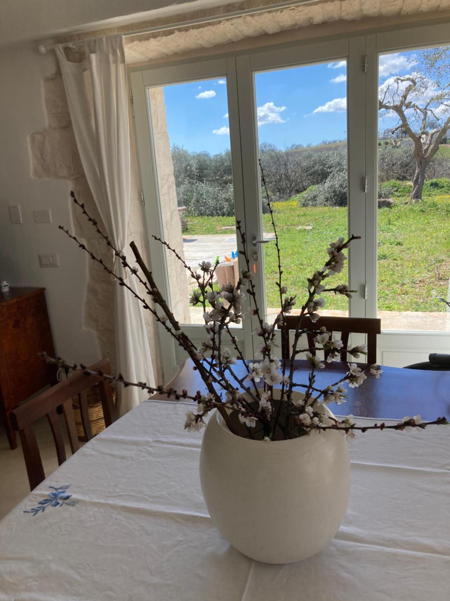 Willa Trullo Masso Antico Alberobello Zewnętrze zdjęcie